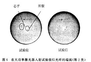 1750399127681873.jpg 10.jpg