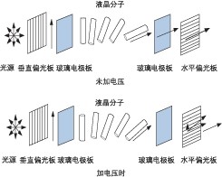 液晶 VOA 加電前后分子排列對比，展示偏振調(diào)控原理