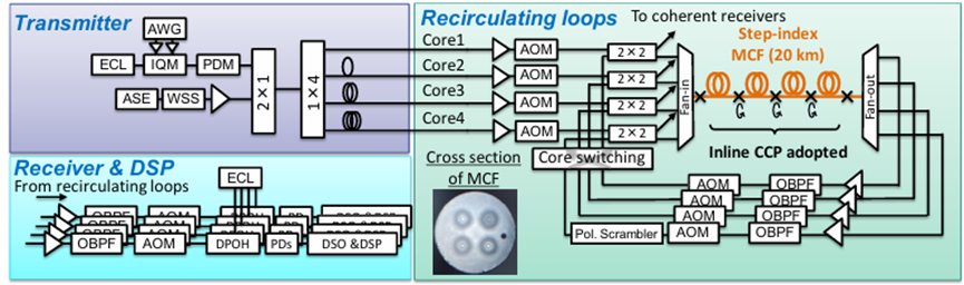 2×2聲光光開(kāi)關(guān) 多芯光纖循環(huán)芯置換 芯間串?dāng)_抑制 3000 公里傳輸實(shí)驗(yàn)
